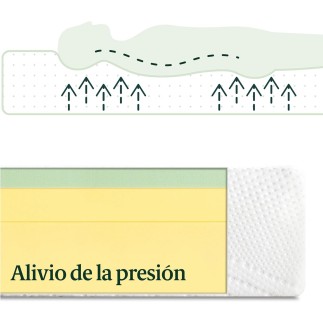 Zinus Green Tea Essential - Colchón de Espuma viscoelástica | 100