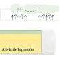 Zinus Green Tea Essential - Colchón de Espuma viscoelástica | 100 x 200 cm | Altura 20 cm | dureza Media H3-H4 | colchón Bara